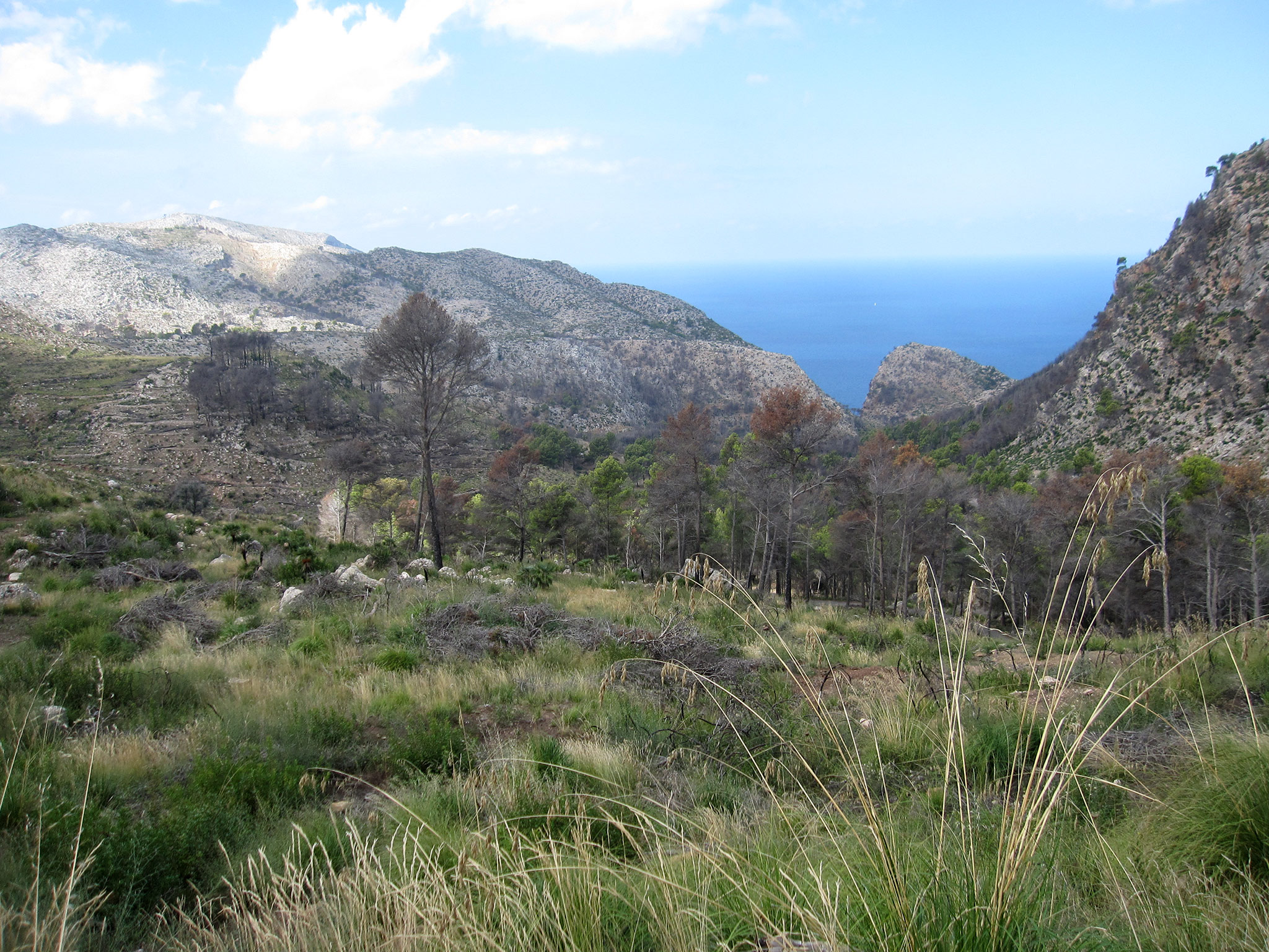 Sant Elm